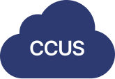 CCUS